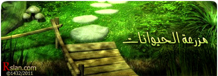 مزرعة الحيوانات