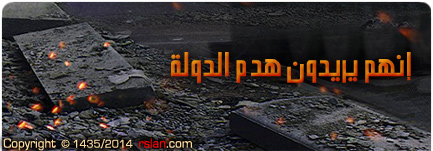 إنهم يريدون هدم الدولة