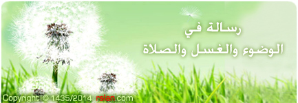 رسالة في الوضوء والغسل والصلاة